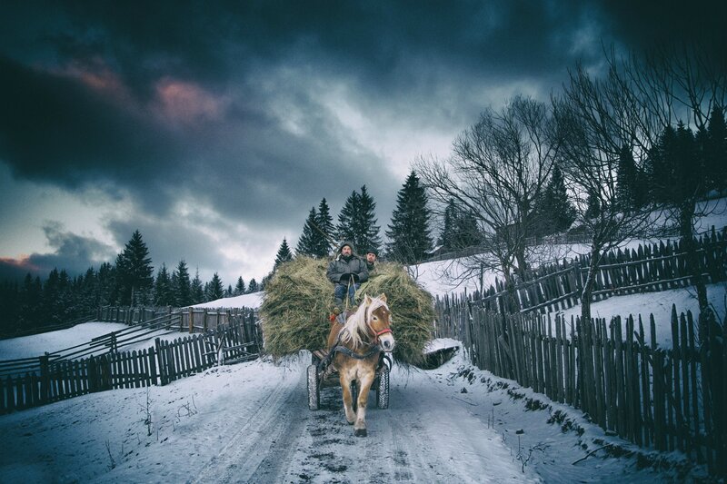 Men on Hay Cart — Blue