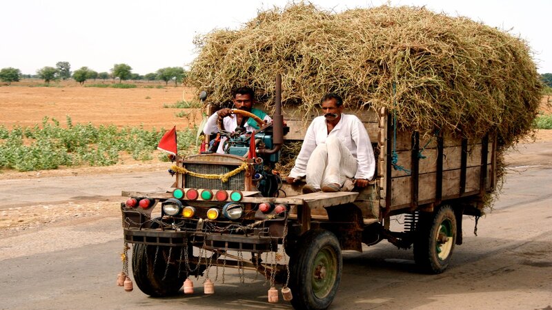 Men on Hay Cart