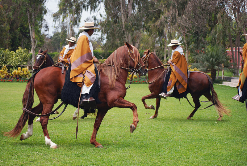 Men on Horseback — Brown, Calm