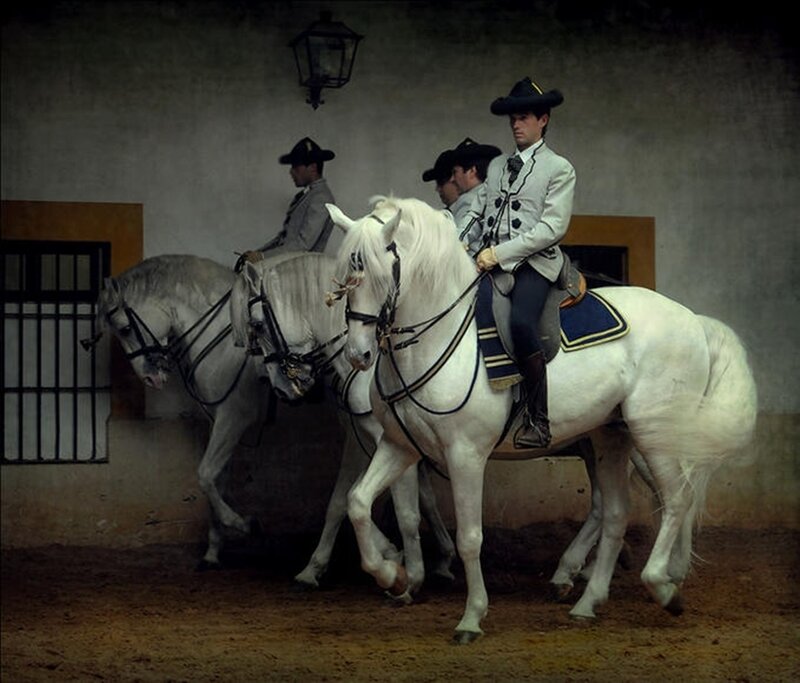 Men on White Horses — Dramatic