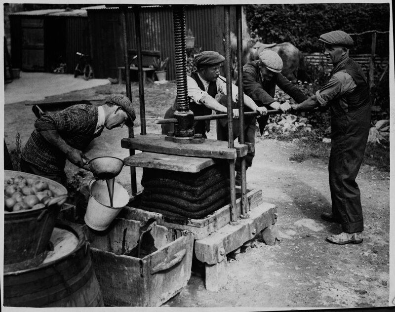 Men operating an apple press