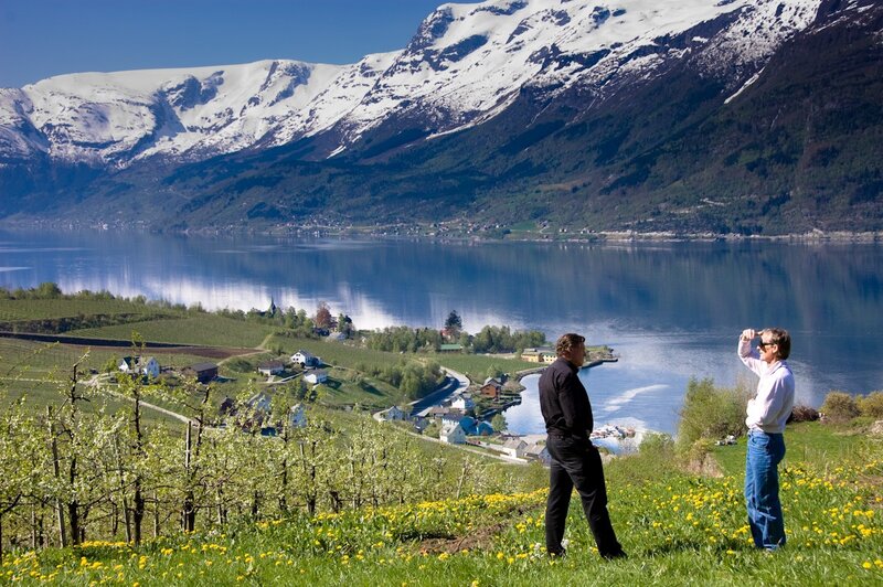 Men overlooking a fjord landscape
