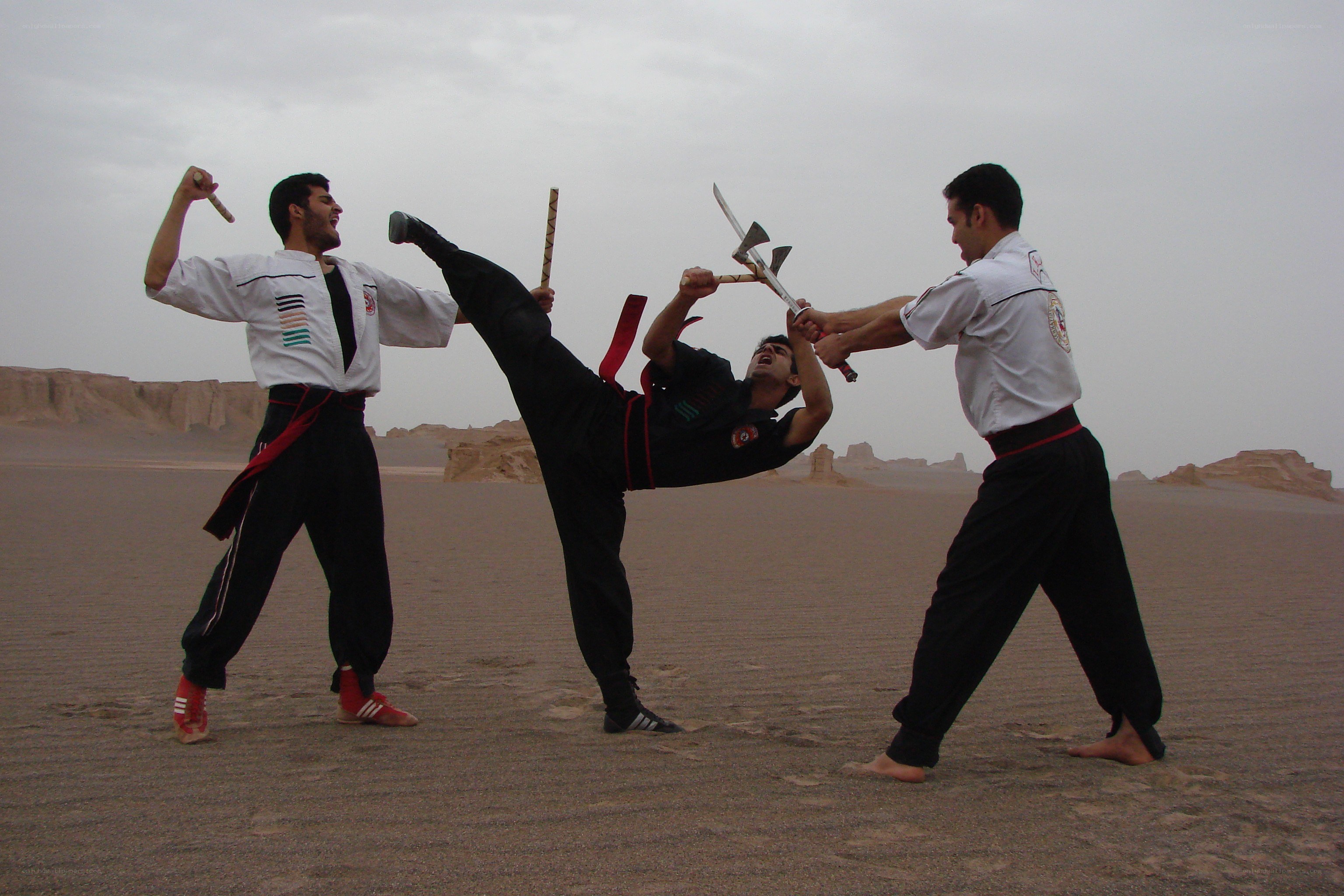 Men practicing martial arts in desert