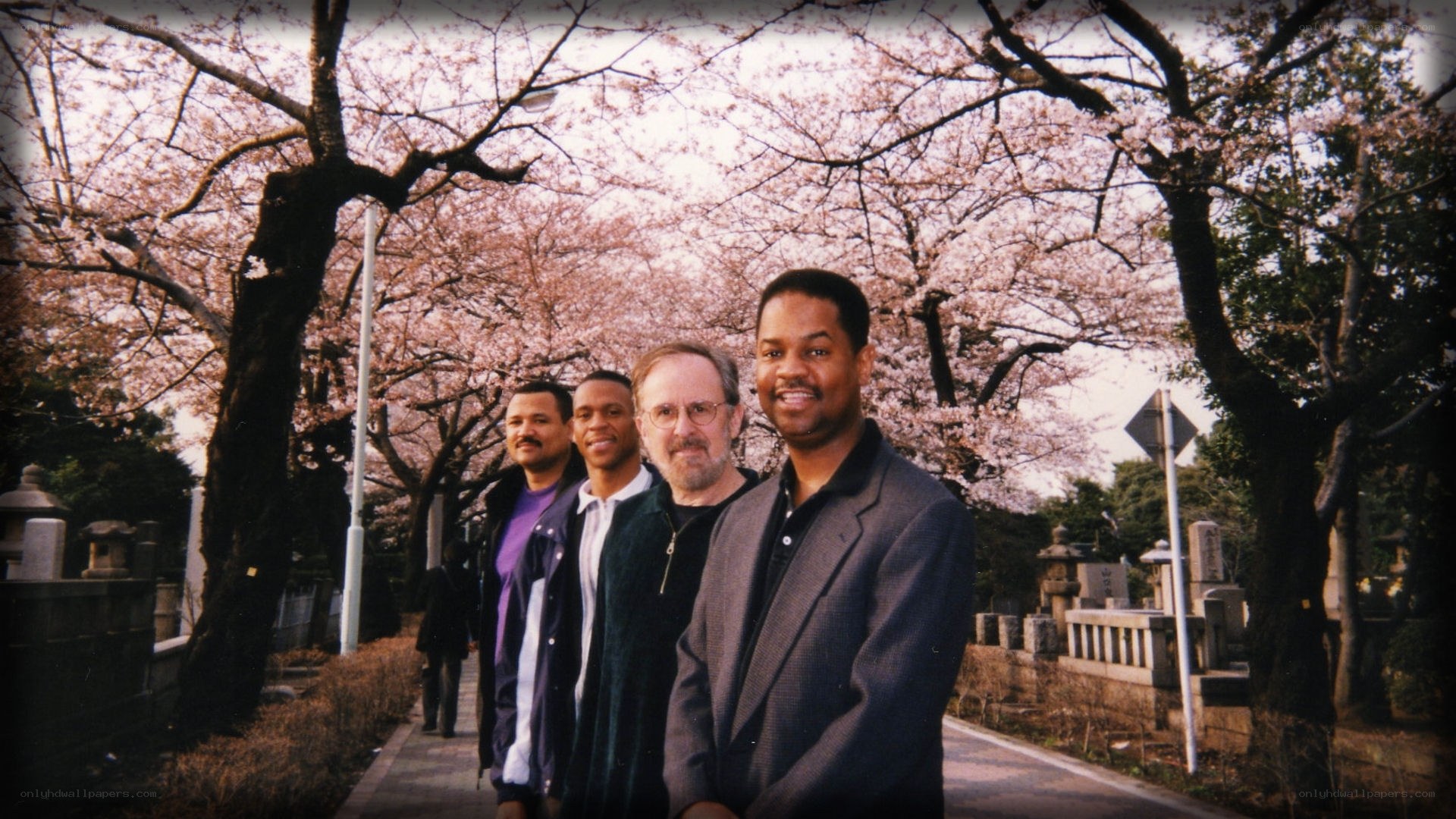 Men under cherry blossoms