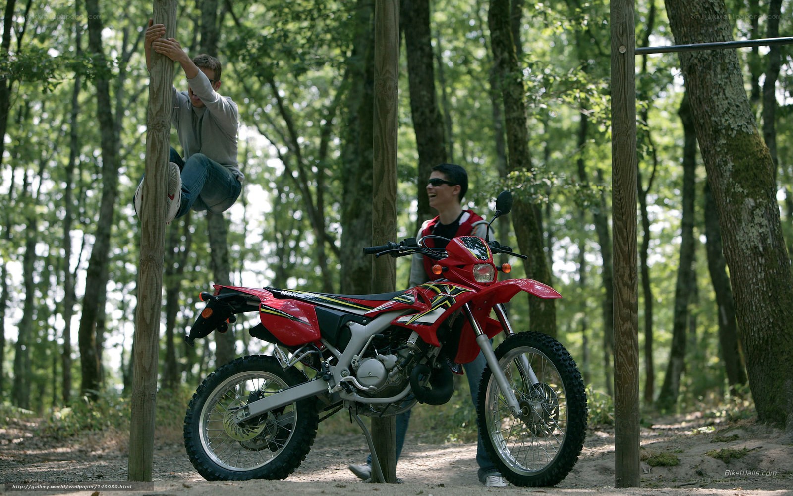 Men with dirt bike in forest