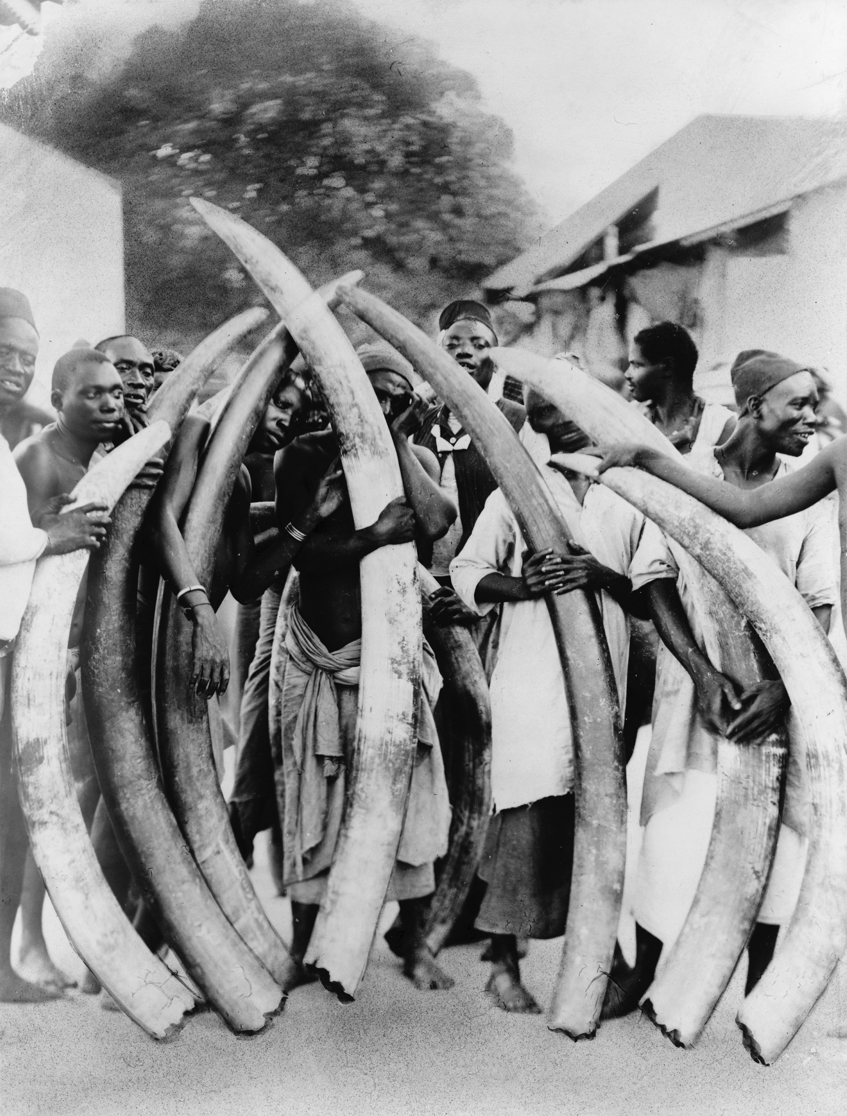 Men with elephant tusks