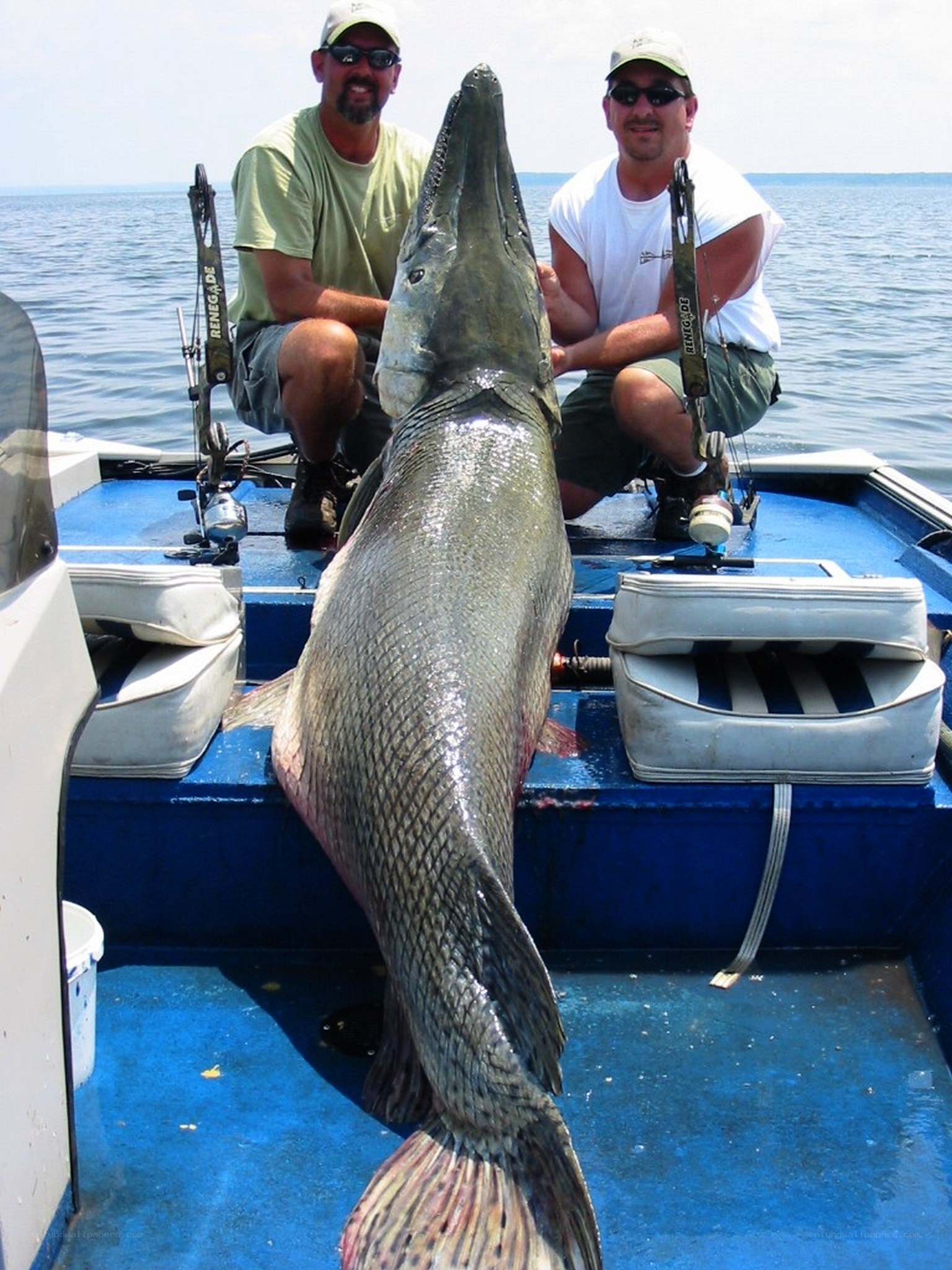 Men with large fish on boat