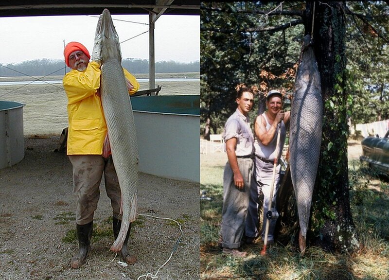 Men with large fish