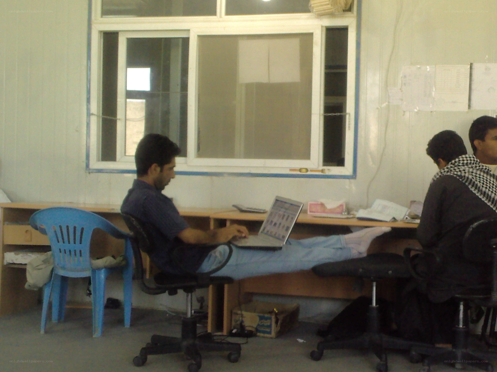 Men working on laptops in office