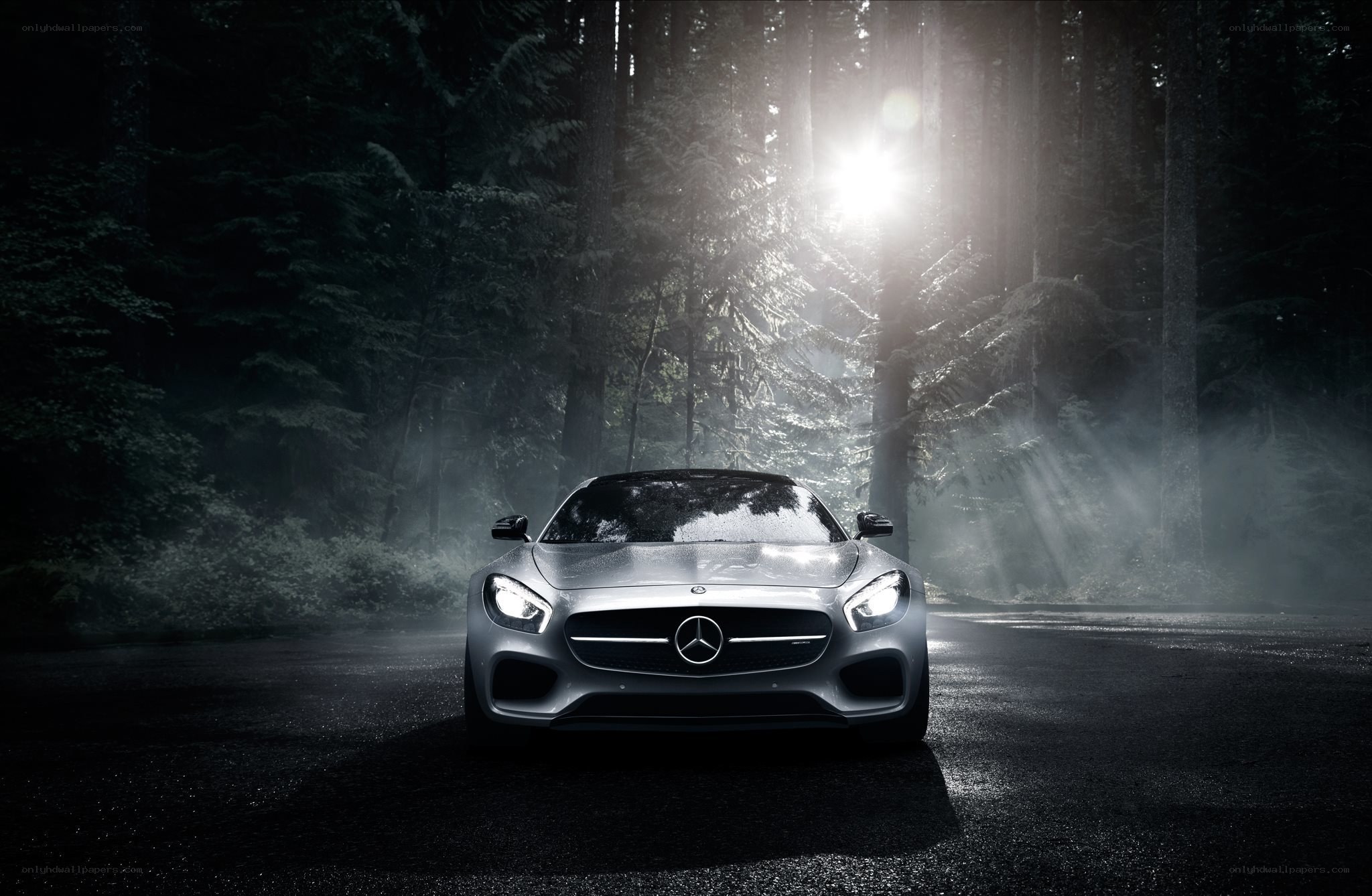Mercedes-AMG GT in forest