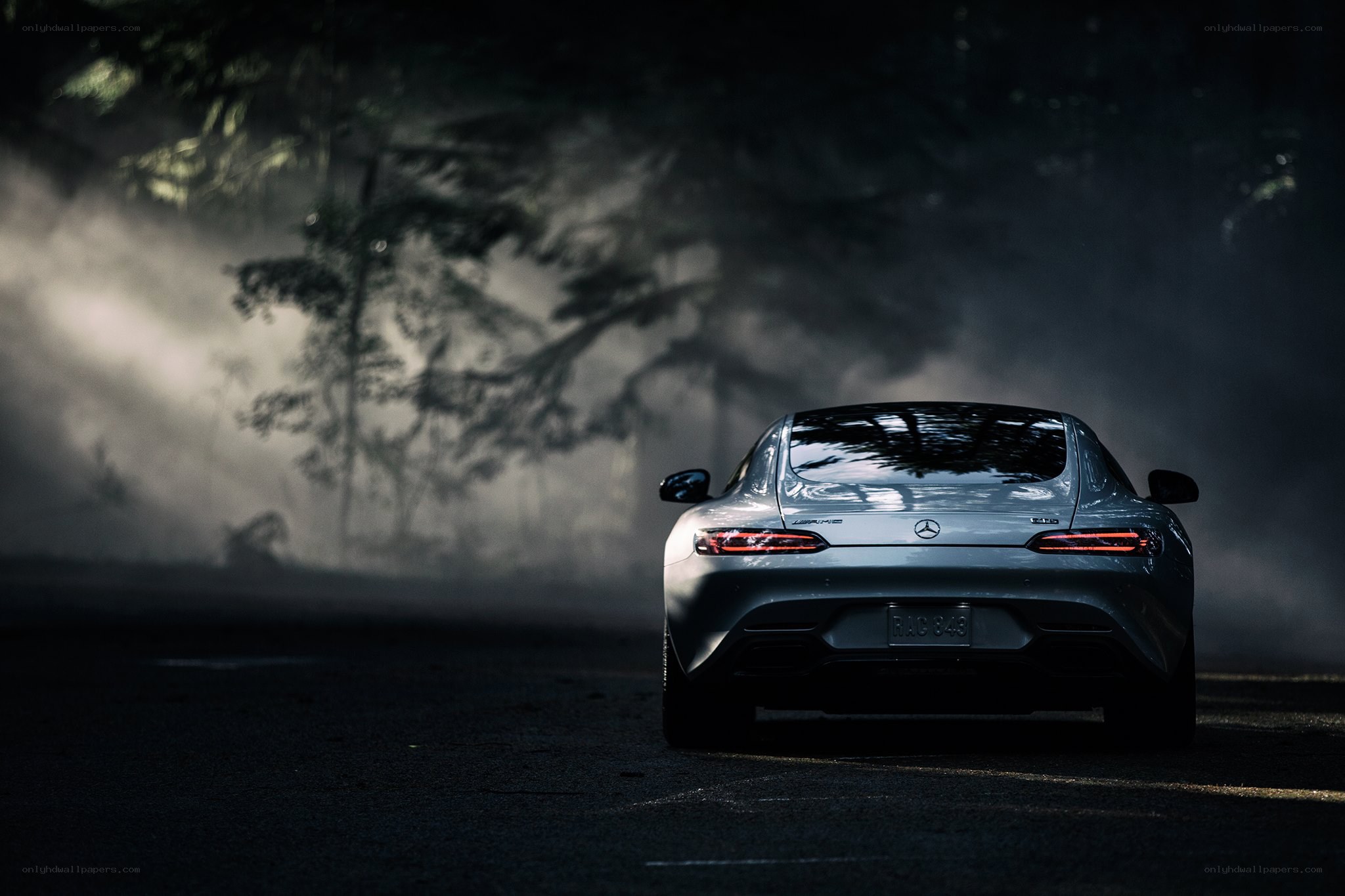 Mercedes-AMG GT on a misty road