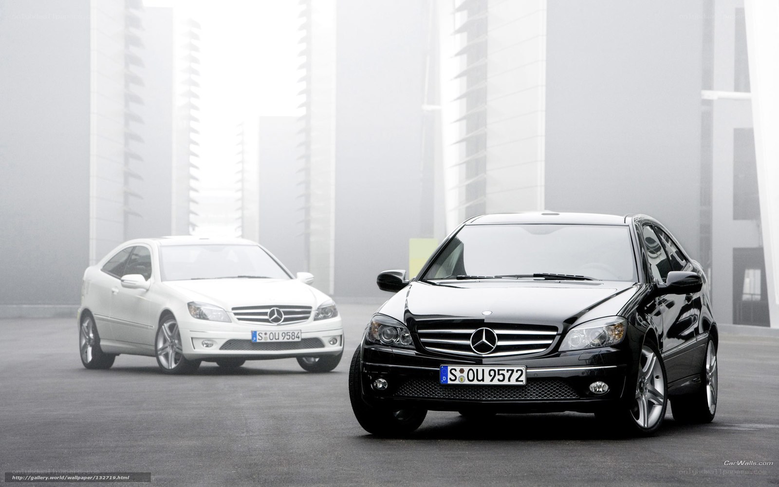 Mercedes-Benz cars in fog