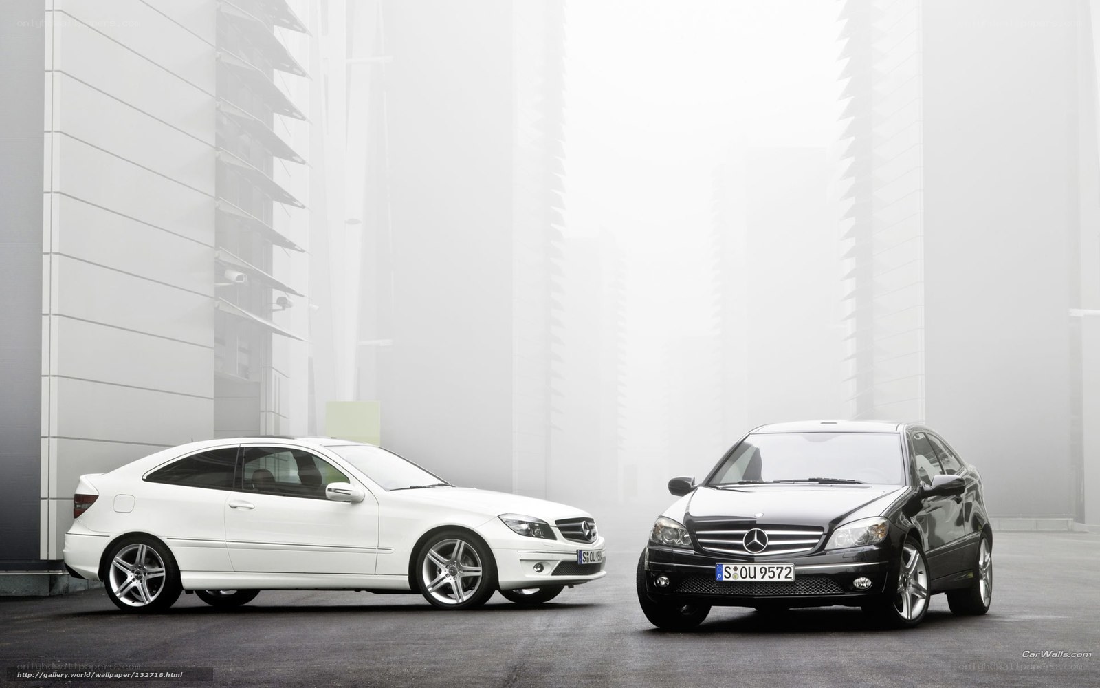 Mercedes-Benz cars in fog