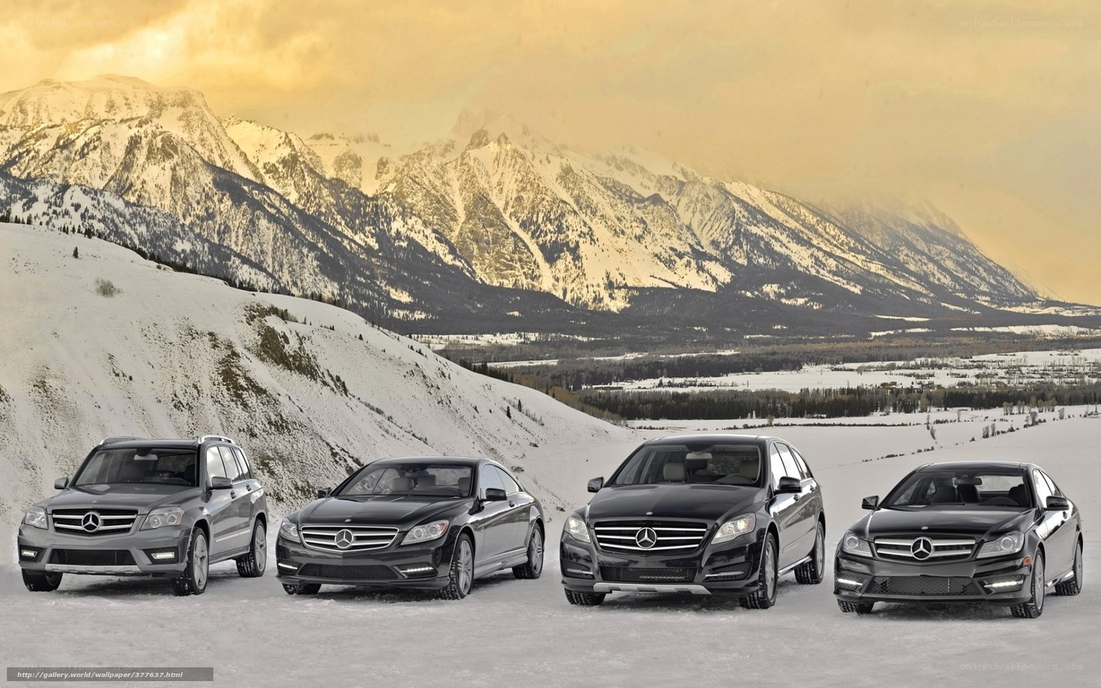 Mercedes-Benz cars in snowy mountains