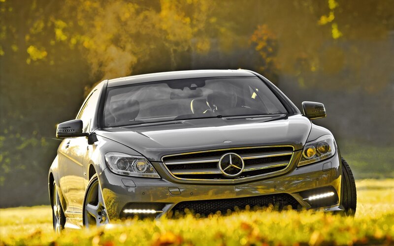 Mercedes-Benz CL-Class in autumn field