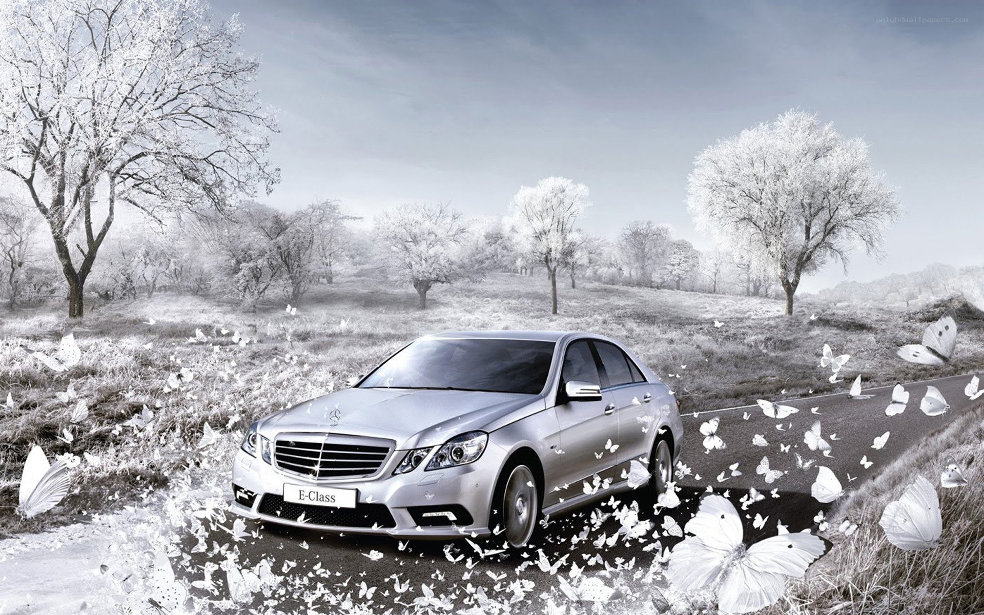 Mercedes-Benz E-Class in winter landscape
