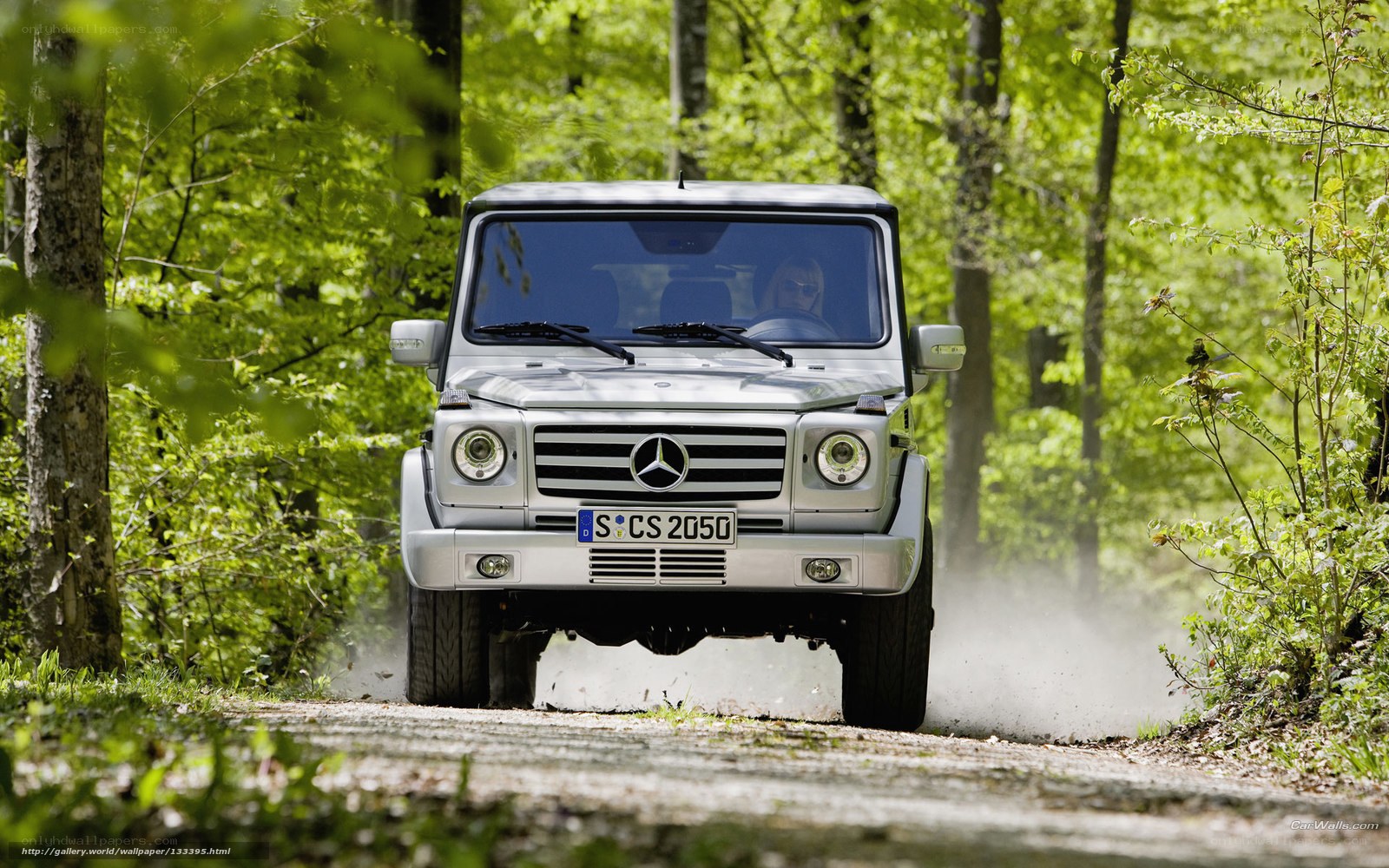 Mercedes-Benz G-Class in forest