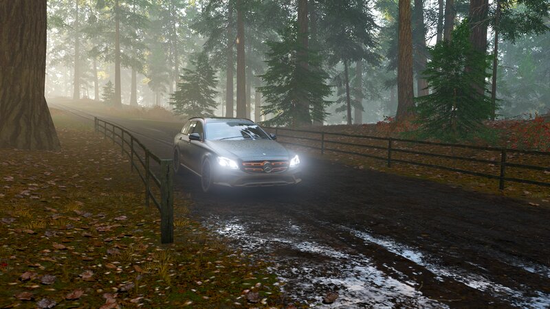 Mercedes-Benz Station Wagon — Green, Misty