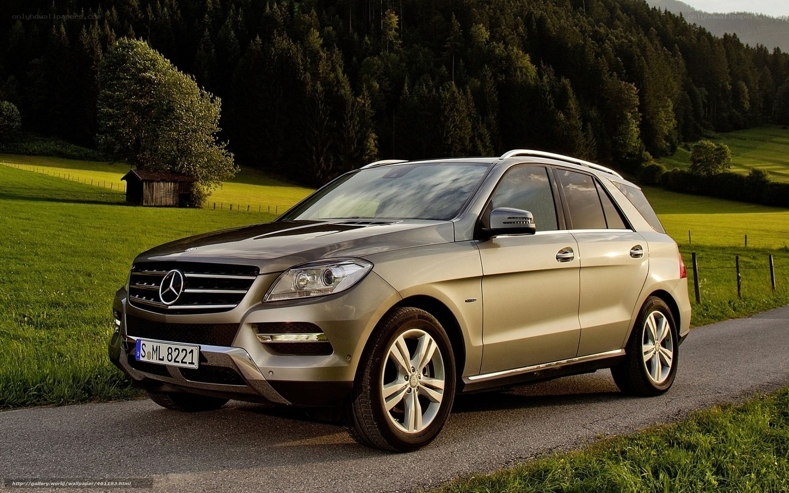 Mercedes-Benz SUV on a country road