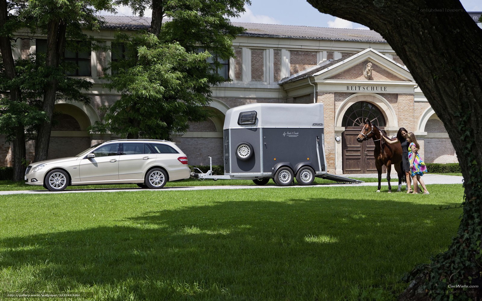 Mercedes-Benz towing horse trailer