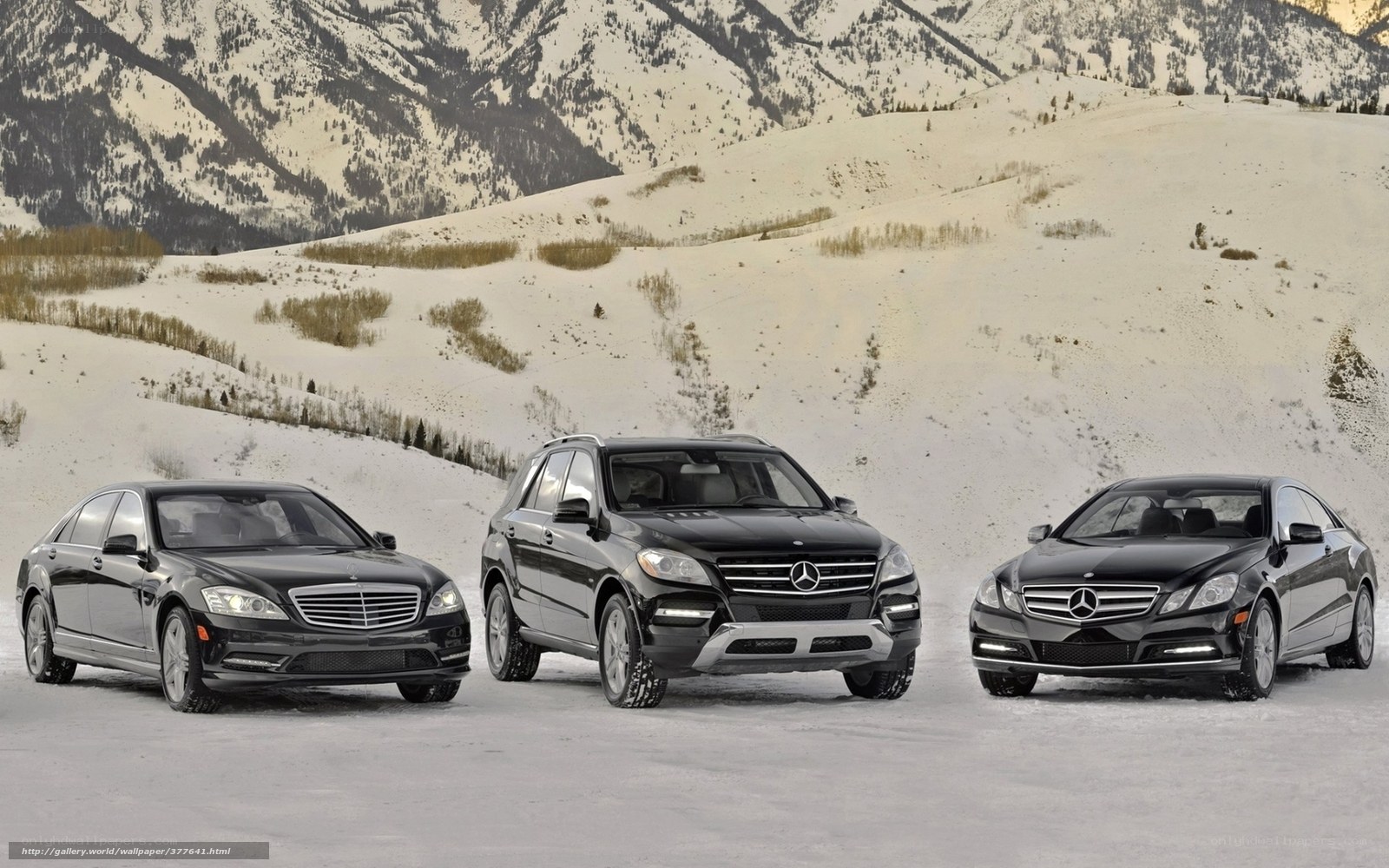 Mercedes-Benz vehicles in snow