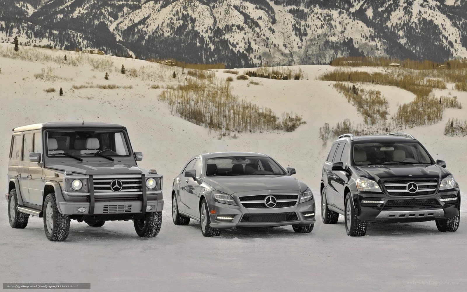 Mercedes-Benz vehicles in snow