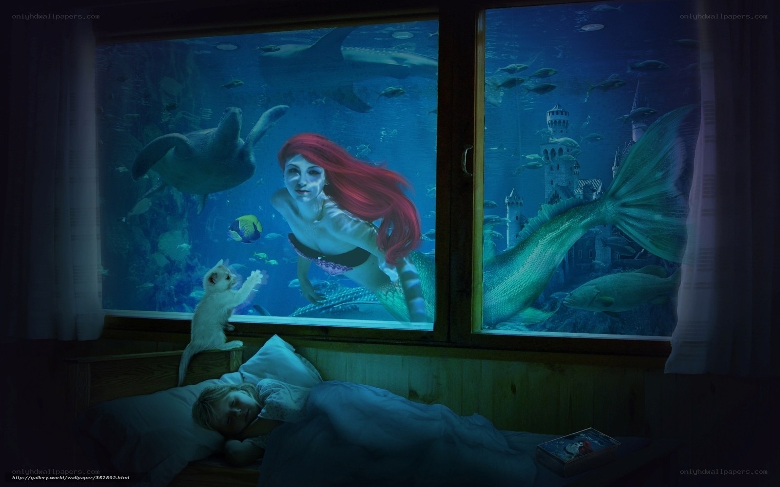 Mermaid dreams at night