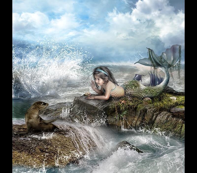 Mermaid Girl on Rock