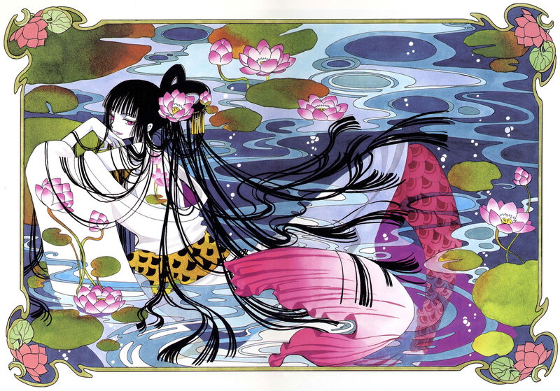 mermaid in a lotus pond