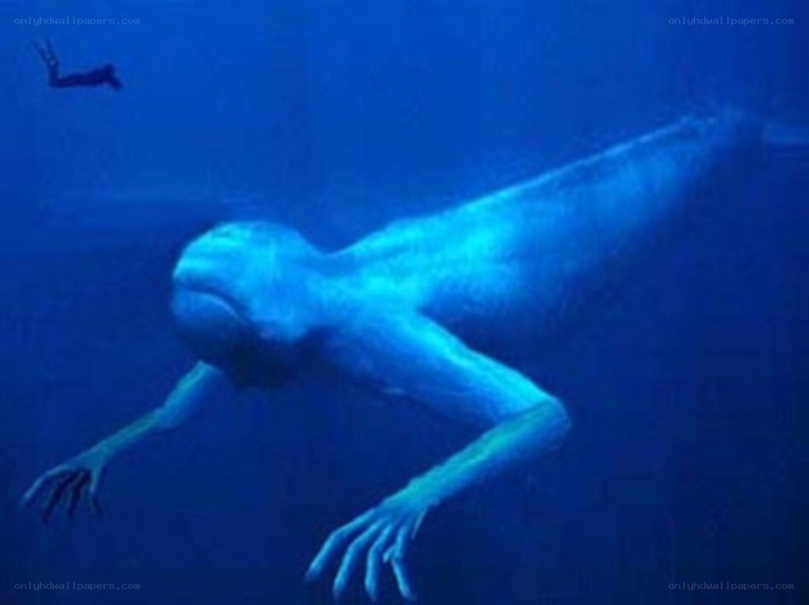 mermaid in deep blue water