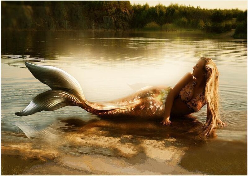 Mermaid in Shallow Water