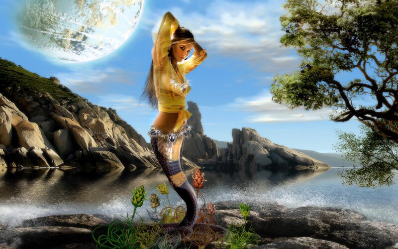 mermaid on a rocky shore