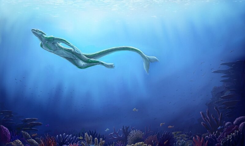 mermaid swimming underwater