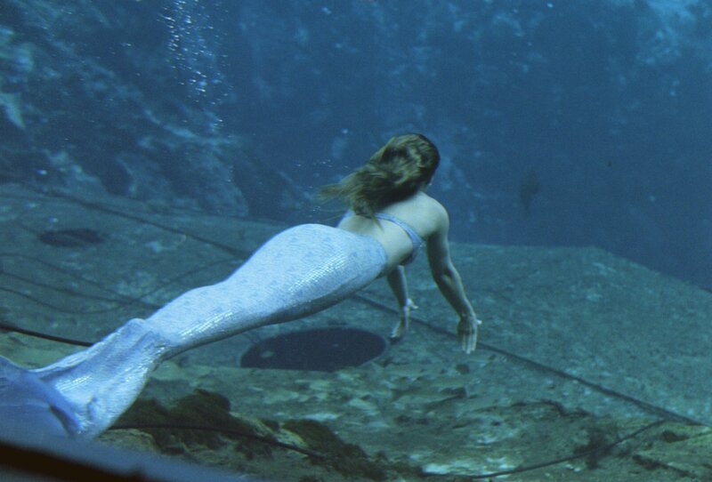 Mermaid Swimming Underwater — Blue, Serene, Photograph, Tail