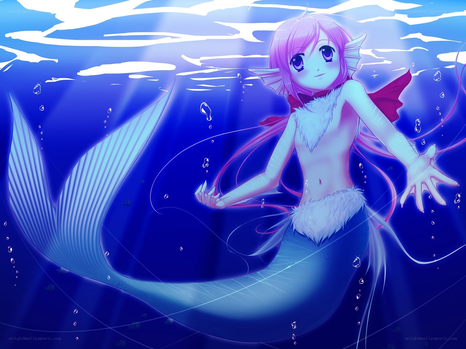 mermaid under the sea
