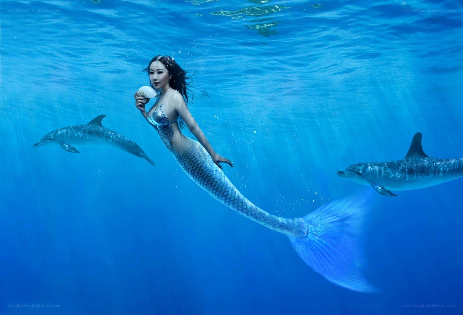 mermaid with dolphins underwater