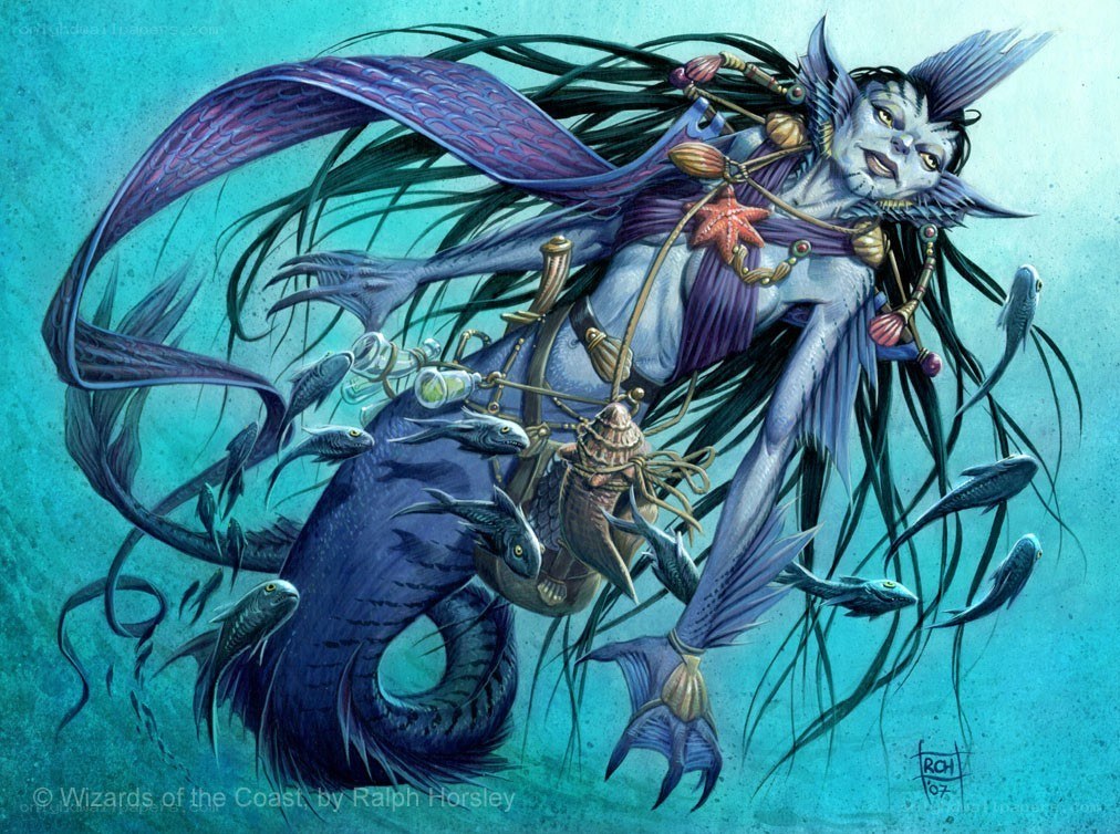 mermaid with fish and sea creatures