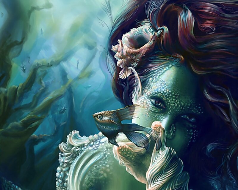 mermaid with fish companion