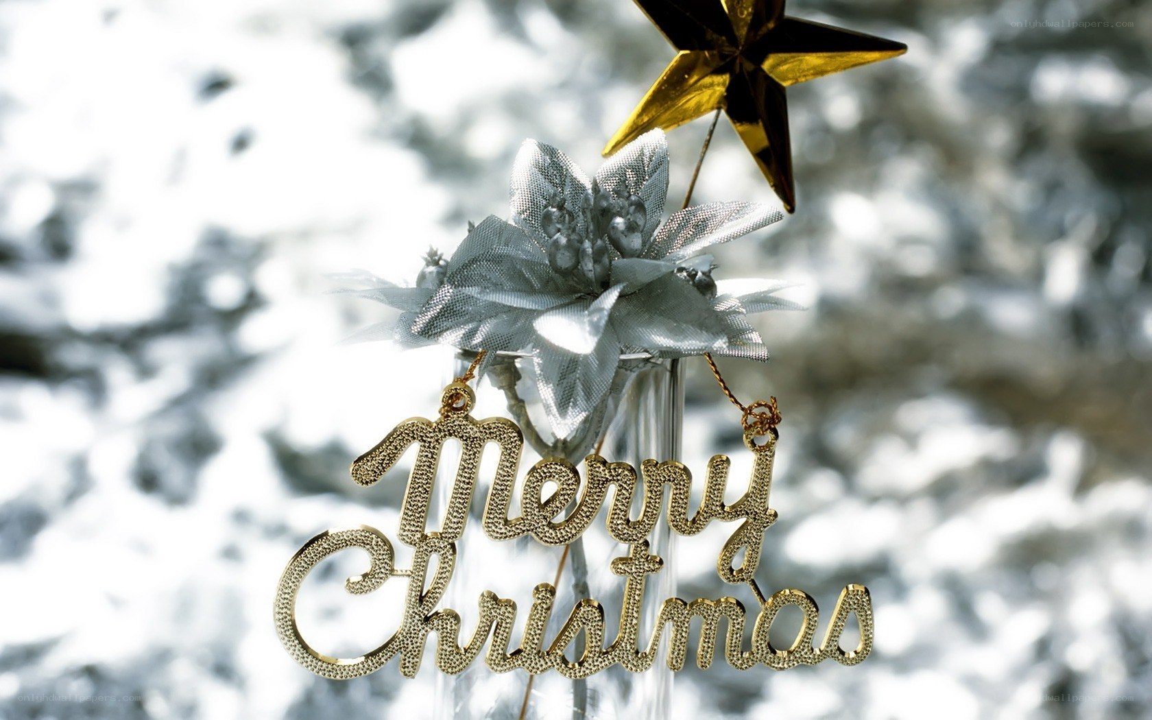Merry Christmas decoration