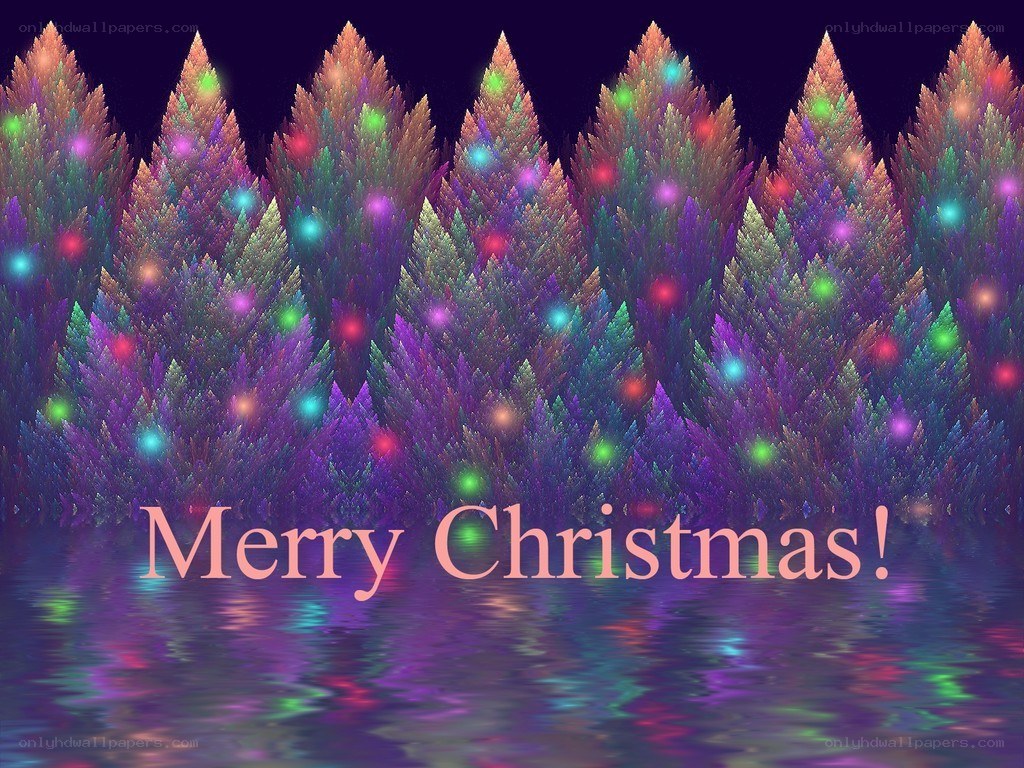 Merry Christmas forest