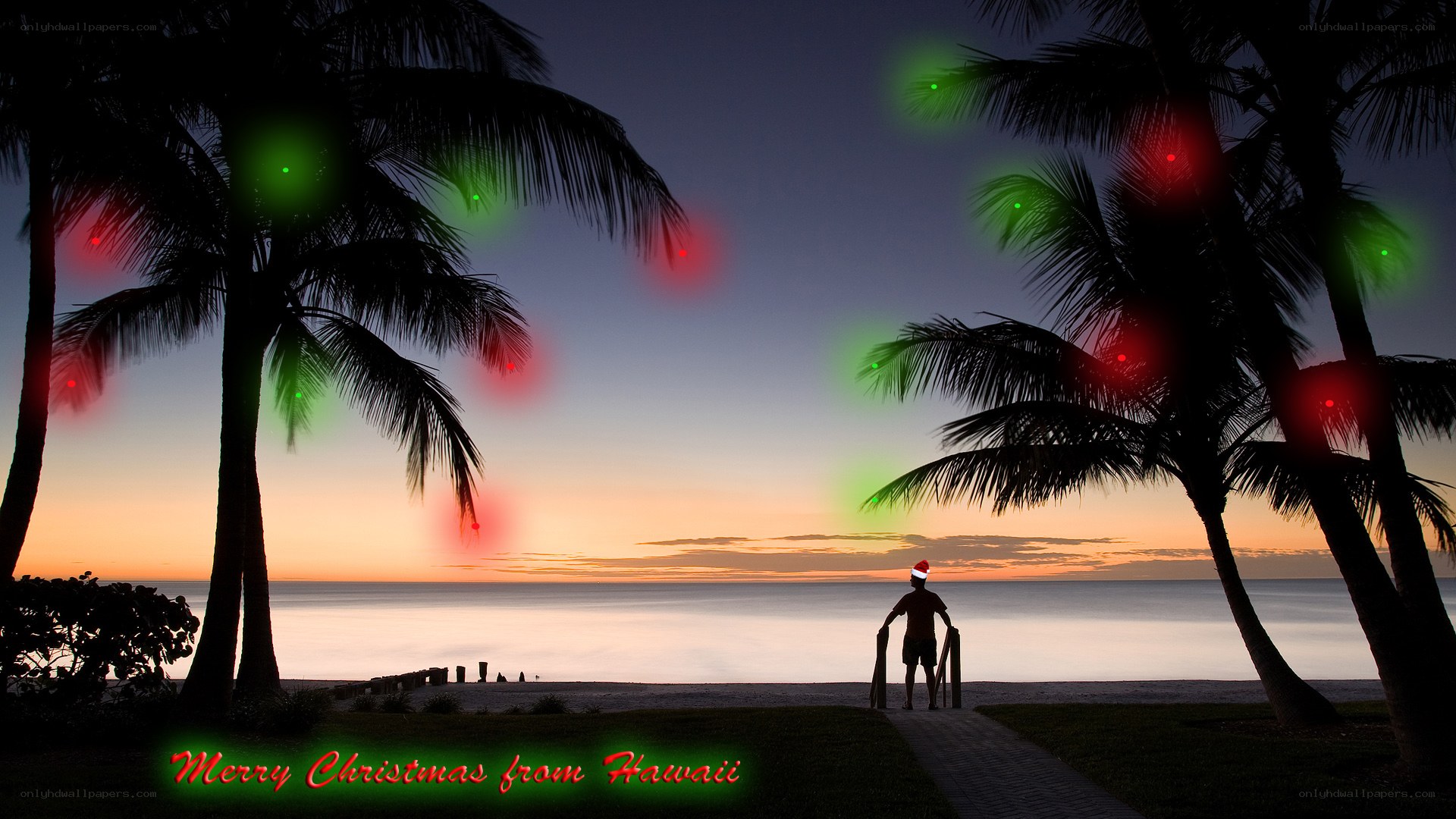 Merry Christmas from Hawaii