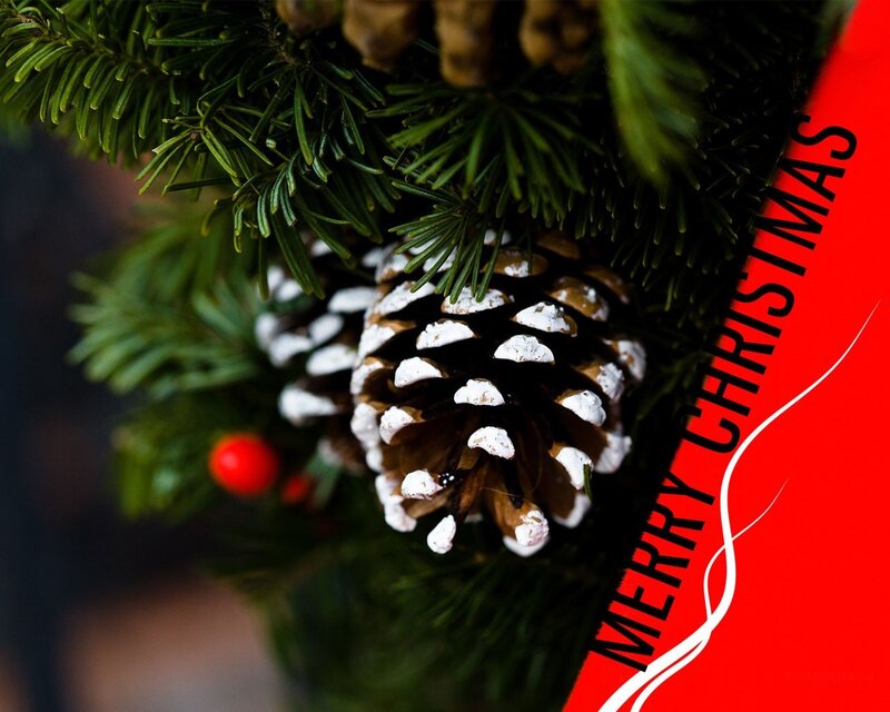 Merry Christmas pine cone