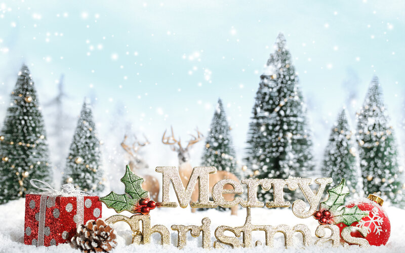 Merry Christmas Sign — White, Festive