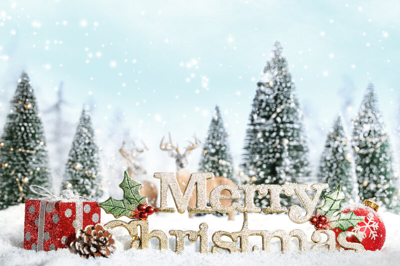 Merry Christmas Sign — White