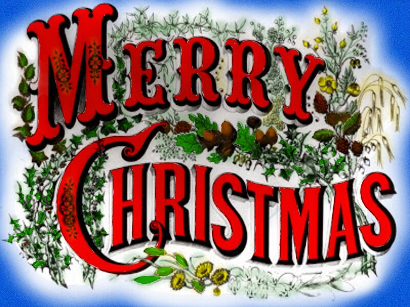 Merry Christmas Text — Red, Festive, Winter, Illustration, Flowers
