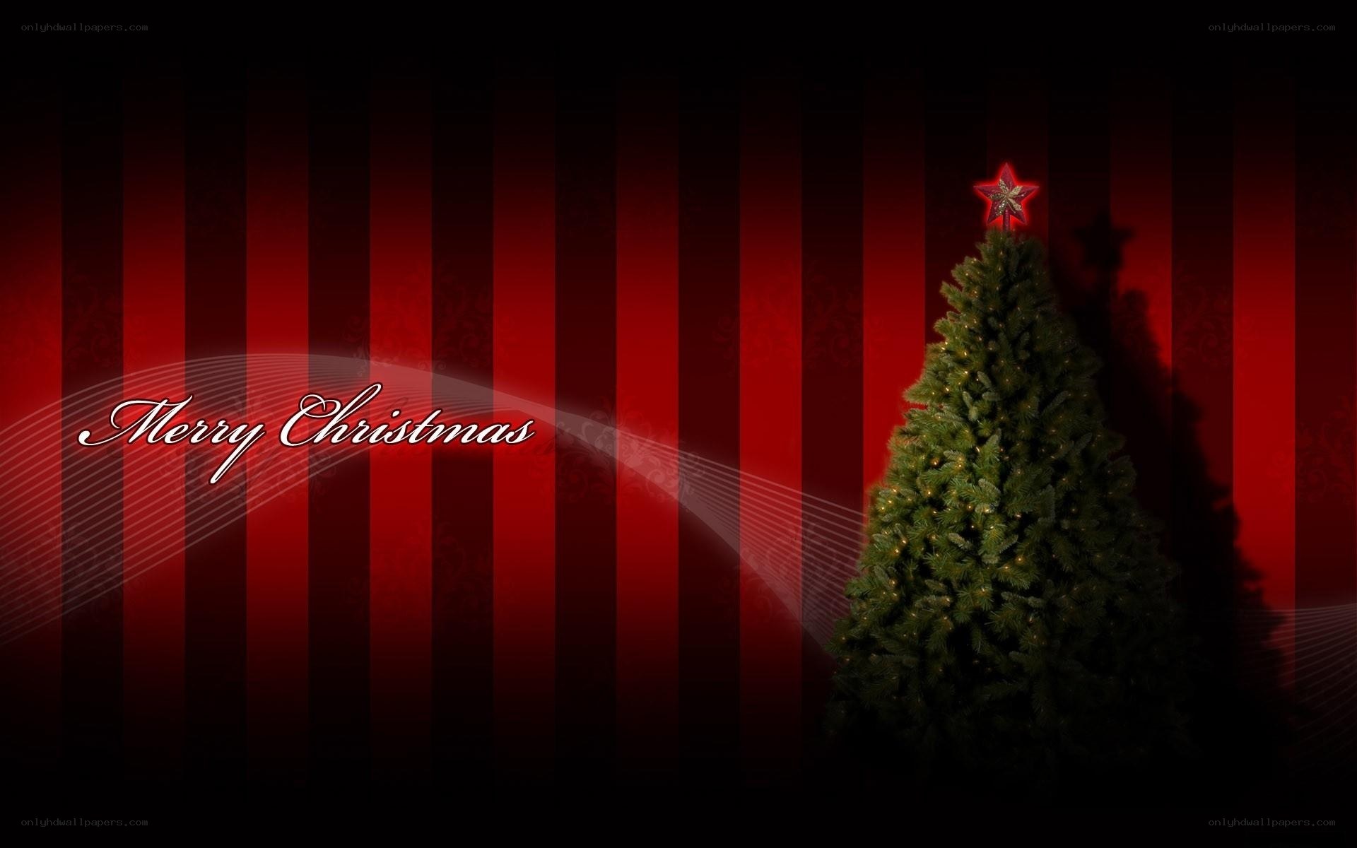 Merry Christmas wallpaper