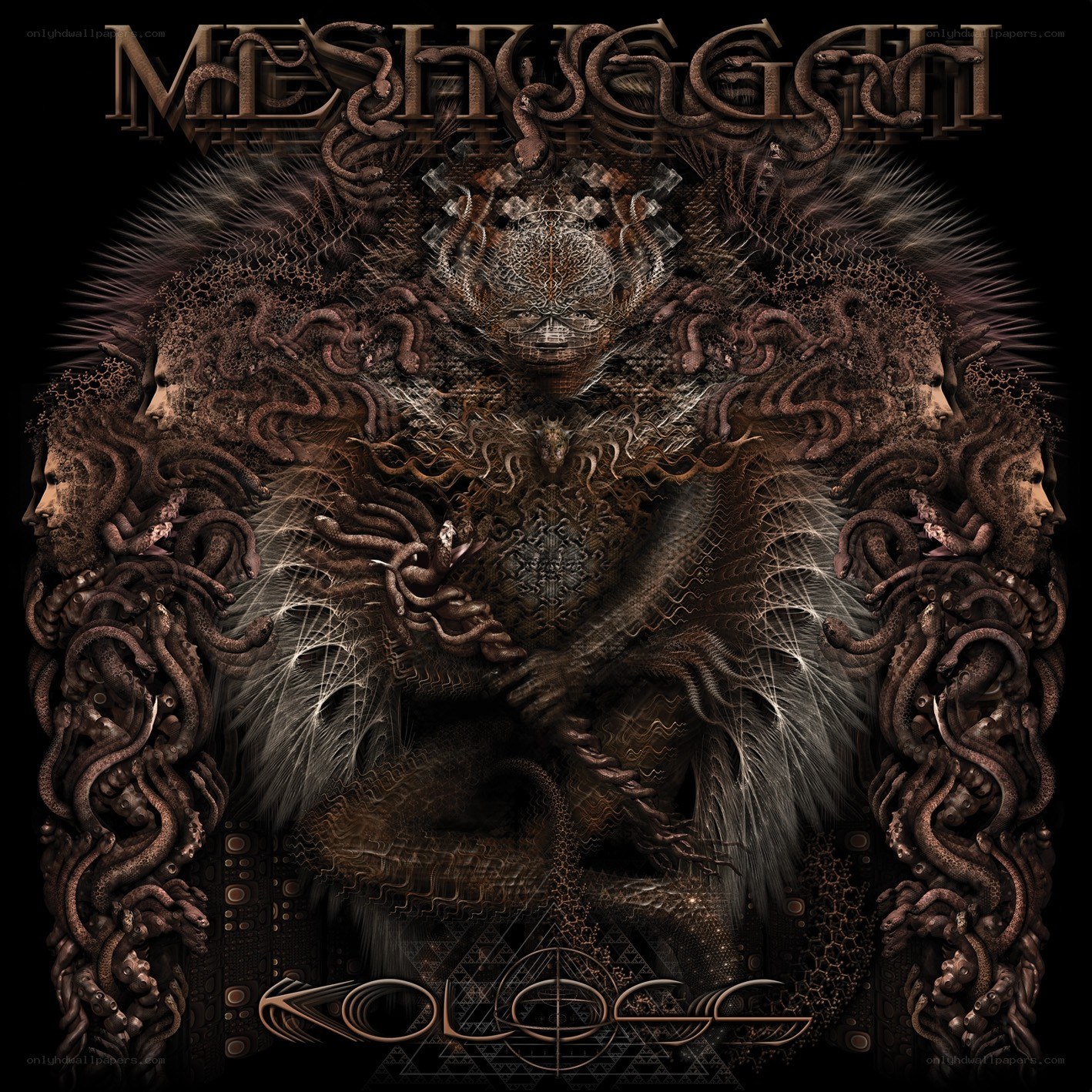 Meshuggah album cover art
