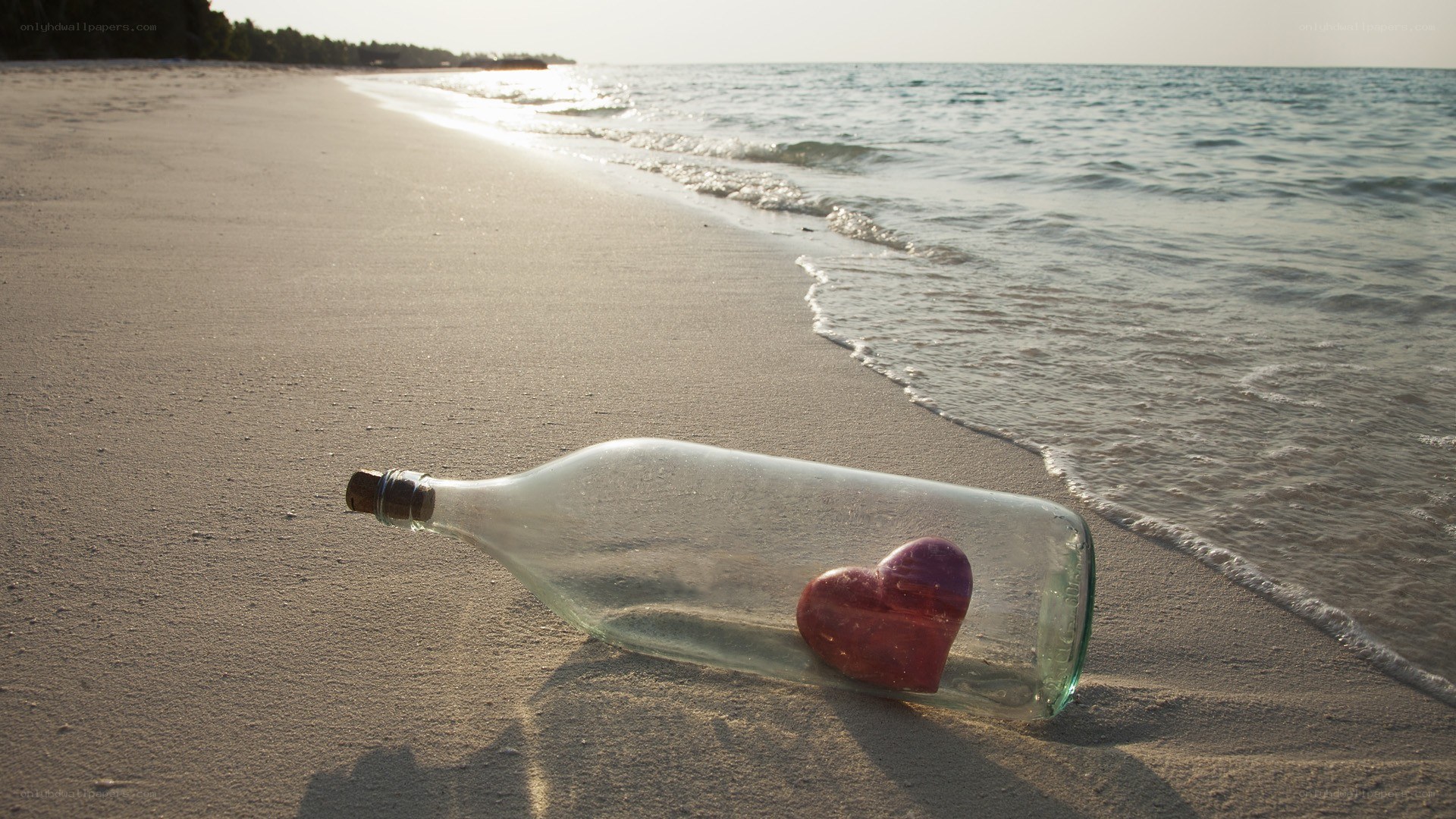 Message in a bottle on beach