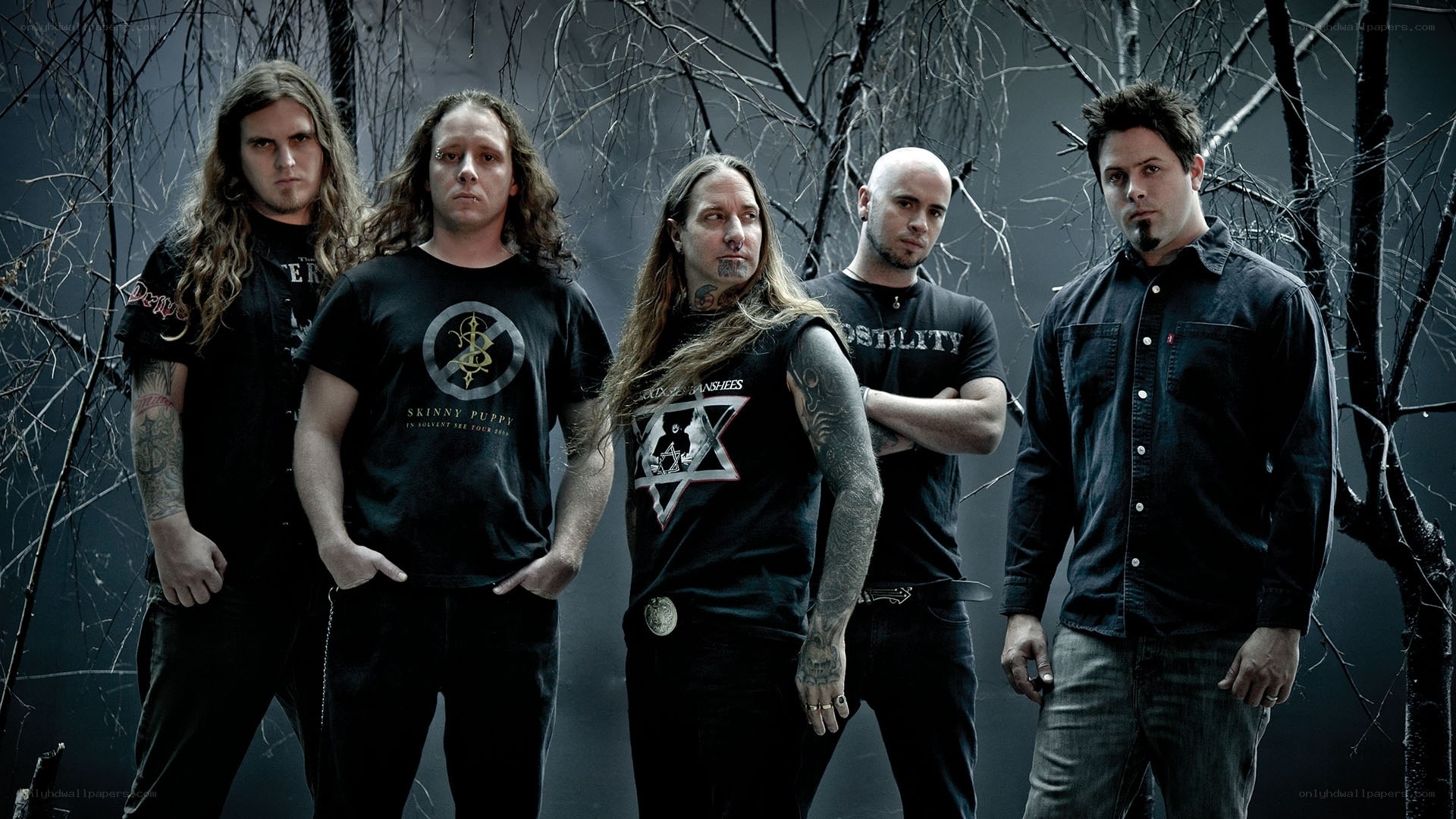 metal band in dark forest
