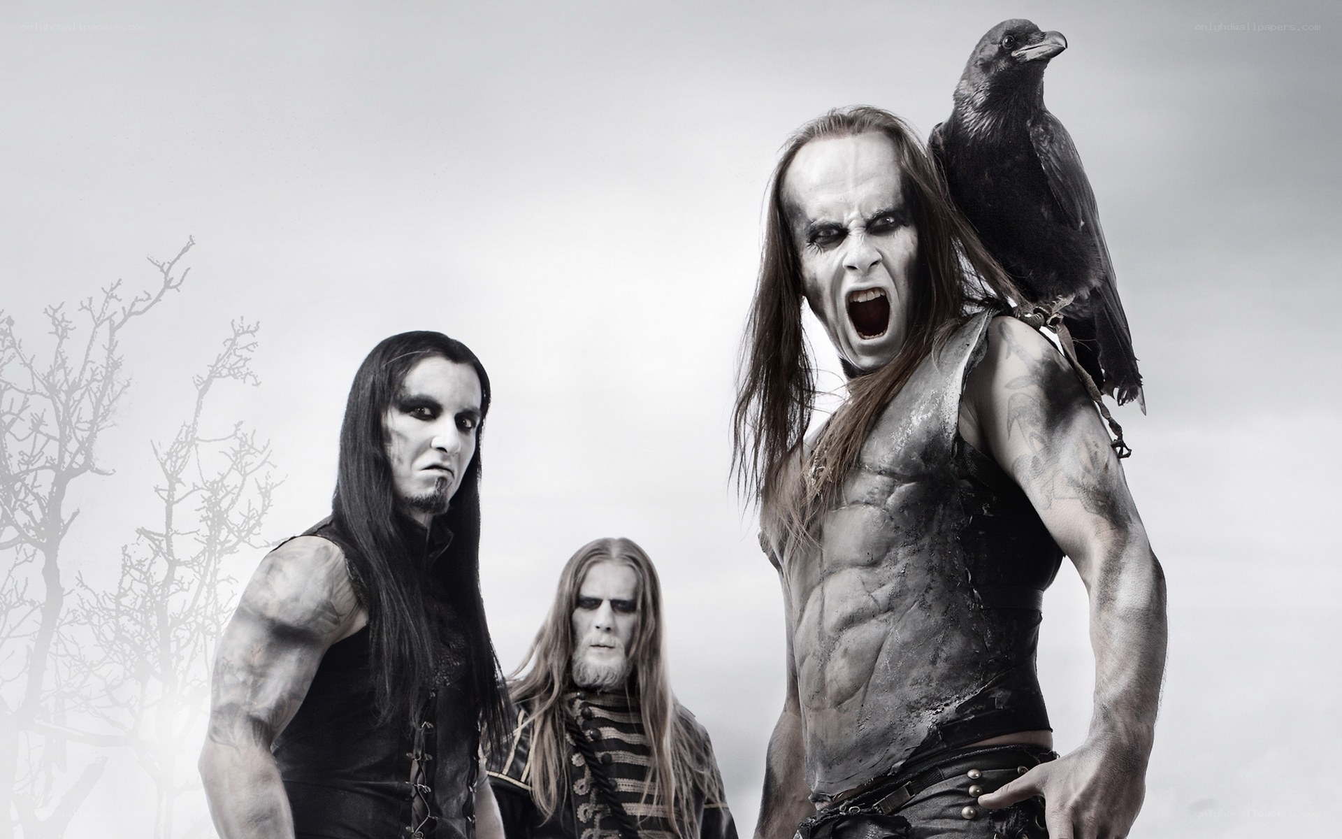 metal band with raven